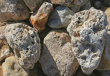 coral limestone